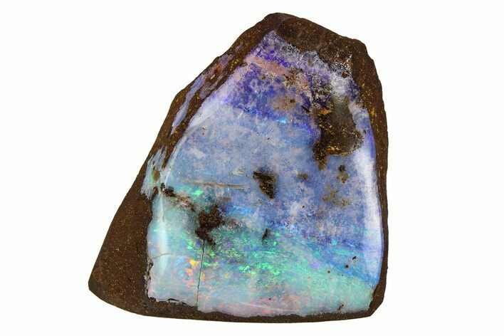 Stunning Polished Boulder Opal Specimen - Queensland, Australia #381720